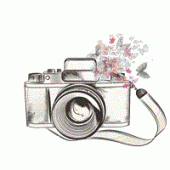 no_foto