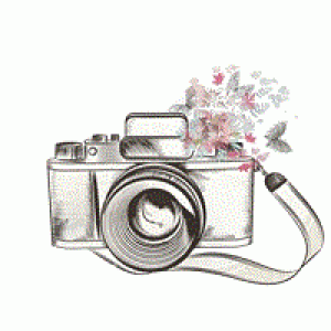 no_foto
